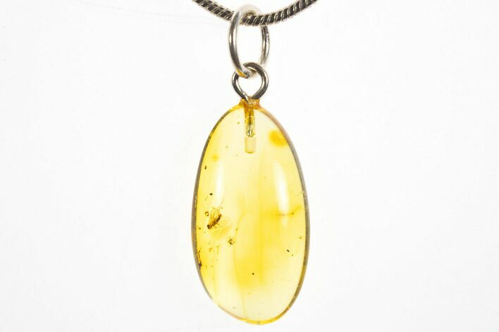 Polished Baltic Amber Pendant (Necklace) - Contains Fly! #328553